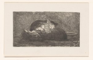 Deux chats