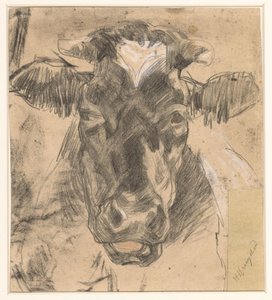 Tête de vache - Herman Kruyder