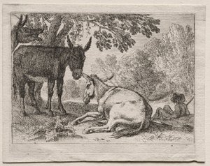 Animaux dans les paysages : Ânes