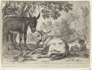 Ânes
