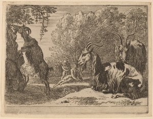 Chèvres