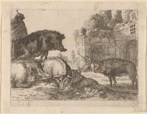 Cochons - Herman van Swanevelt