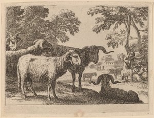 Béliers