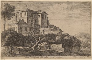 Vue du vignoble de la Villa Mamsrona