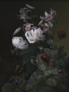  - Hermania Sigvardine Neergaard