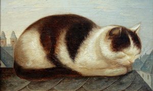Chat