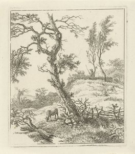 Paysage avec berger sur une colline - Hermanus Fock