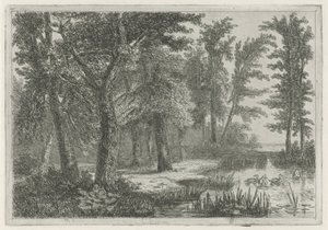 Paysage forestier avec un étang et des canards