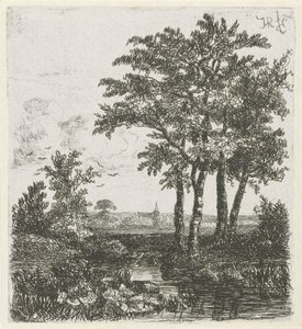 Quatre arbres au bord d