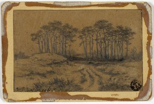 Chemin à travers les arbres