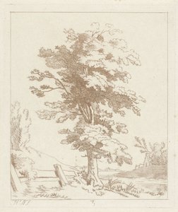 Arbre dans un paysage - Hermanus Numan