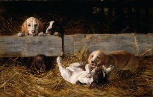 H. Biedermann-Arendts, Chiots jouant - Hermine Biedermann Arendt