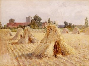 Gerbes de maïs près de l