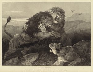 Féroce comme des feux conflictuels, le combat brûle