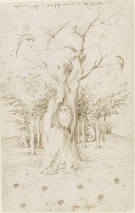 Le champ a des yeux, la forêt a des oreilles