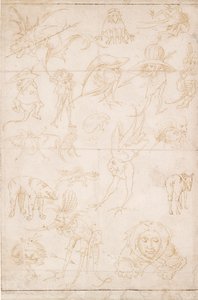 Études grotesques, vers 1500-1520 - Hieronymus Bosch