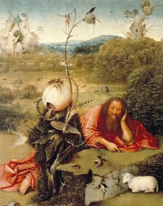 Saint Jean-Baptiste endormi dans la nature - Hieronymus Bosch