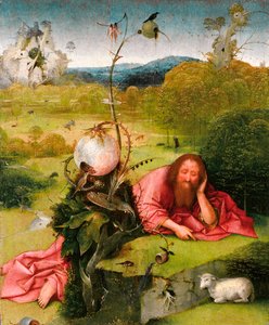 Saint Jean-Baptiste dans le désert, fin du 15e siècle - Hieronymus Bosch