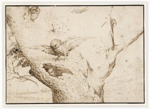 Le Nid de la chouette - Hieronymus Bosch