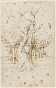 La forêt a des oreilles, le champ a des yeux par Bosch, Hieronymus (vers 1450-1516)