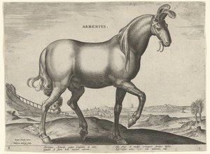 Cheval d