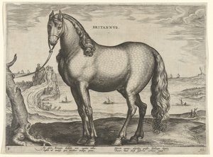 Cheval de Bretagne (Britannus) (Paardenrassen uit de Koninklijke stallen van Don Juan van Oostenrijk, Equile Ioannis Austriaci Caroli) - Hieronymus Wierix