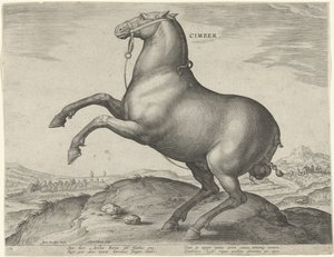 Cheval de Scythie (Cimber) (Paardenrassen uit de Koninklijke stallen van Don Juan van Oostenrijk, Equile Ioannis Austriaci Caroli) - Hieronymus Wierix