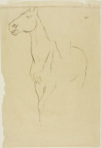 Cheval tourné trois-quarts - Hilaire Germain Edgar Degas
