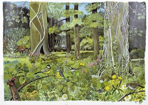 Derrière les Écuyers, Devon - Hilary Jones