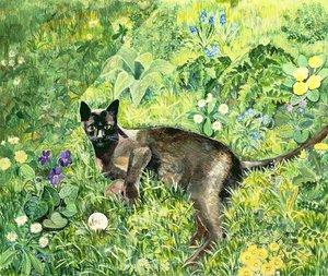 Chat golfeur - Hilary Jones