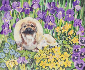 Wilma - Hilary Jones