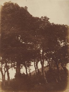 [Champ à Bonaly] - Hill and Adamson