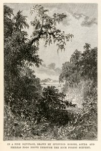 Dans un bel équipage, tiré par de splendides chevaux, Aouda et Phileas Fogg traversèrent la riche forêt, d