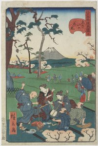 No.5, Observation des cerisiers en fleurs à Asuka Hill - Hirokage Utagawa