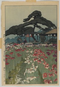 Jardin d