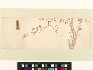 Cerisier en fleurs - Hiroshige (I) , Utagawa (attributed to)