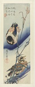 Canards près des roseaux - Hiroshige (I) , Utagawa