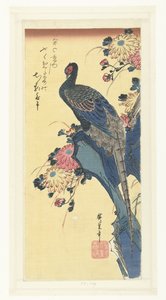 Faisan et chrysanthèmes - Hiroshige (I) , Utagawa