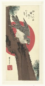 Faucon sur un pin - Hiroshige (I) , Utagawa
