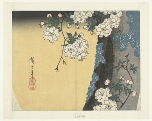 Tronc moussu et fleurs de cerisier - Hiroshige (I) , Utagawa
