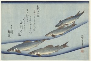 Truite - Hiroshige (I) , Utagawa