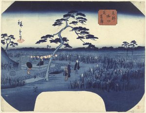 Iris en fleurs à Horikiri dans la capitale orientale - Hiroshige (II) , Utagawa