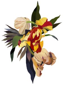 Tulipe perroquet 3 - Hiroyuki Izutsu