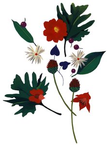 Une fleur qui fait imaginer Noël - Hiroyuki Izutsu