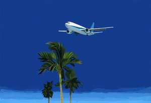 Avion et palmier
