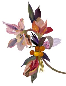 Une fleur imaginaire basée sur une tulipe. - Hiroyuki Izutsu