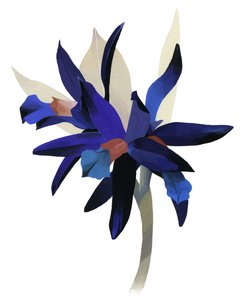 Une fleur imaginaire avec une base bleue