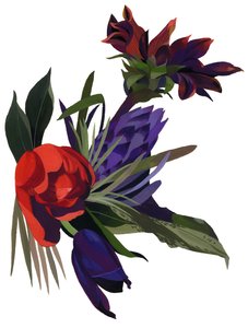 Tulipes et dahlias