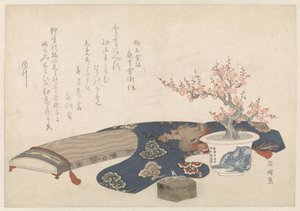 Nature morte avec koto