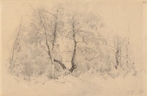  - Hjalmar Munsterhjelm